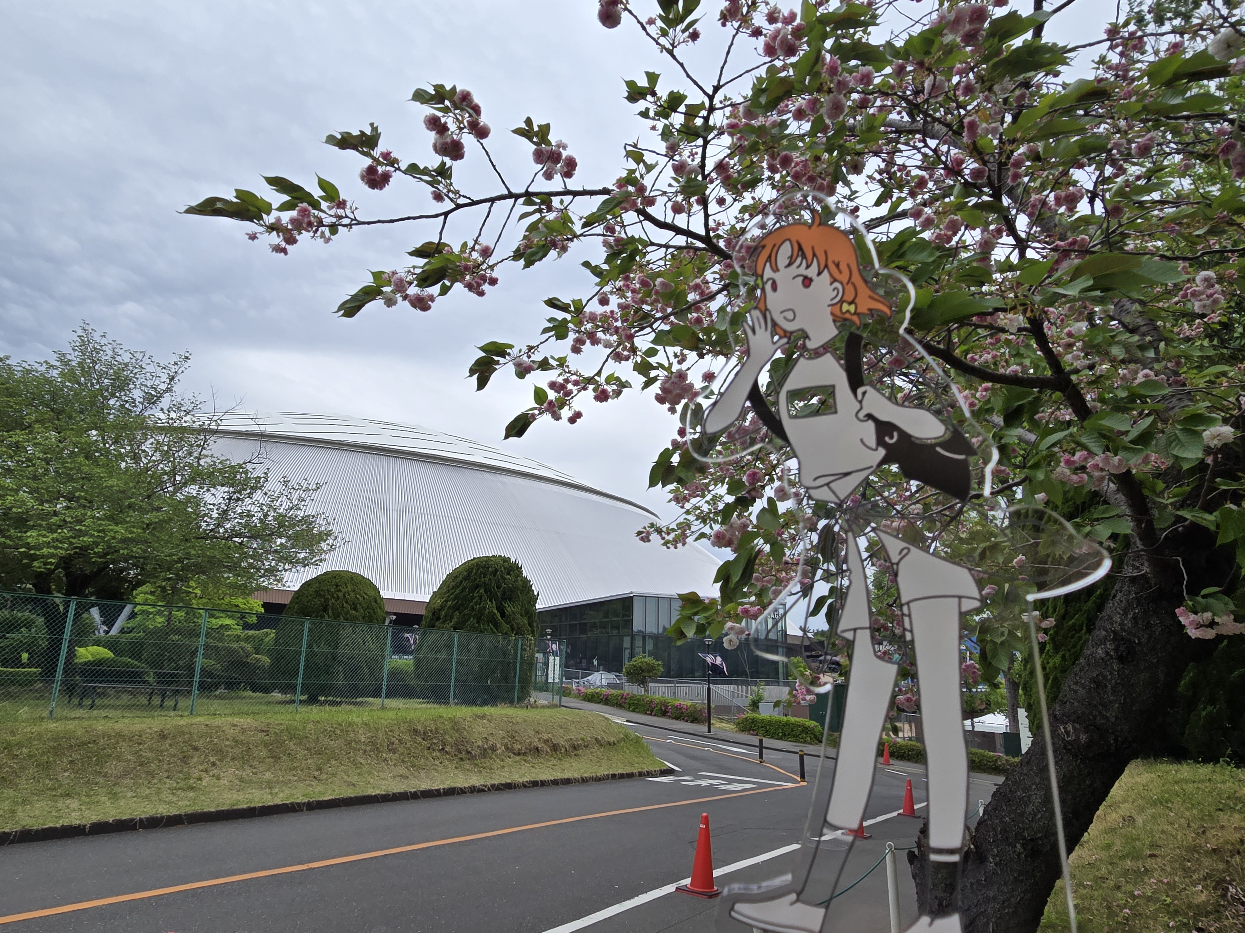 Seibu Dome Back