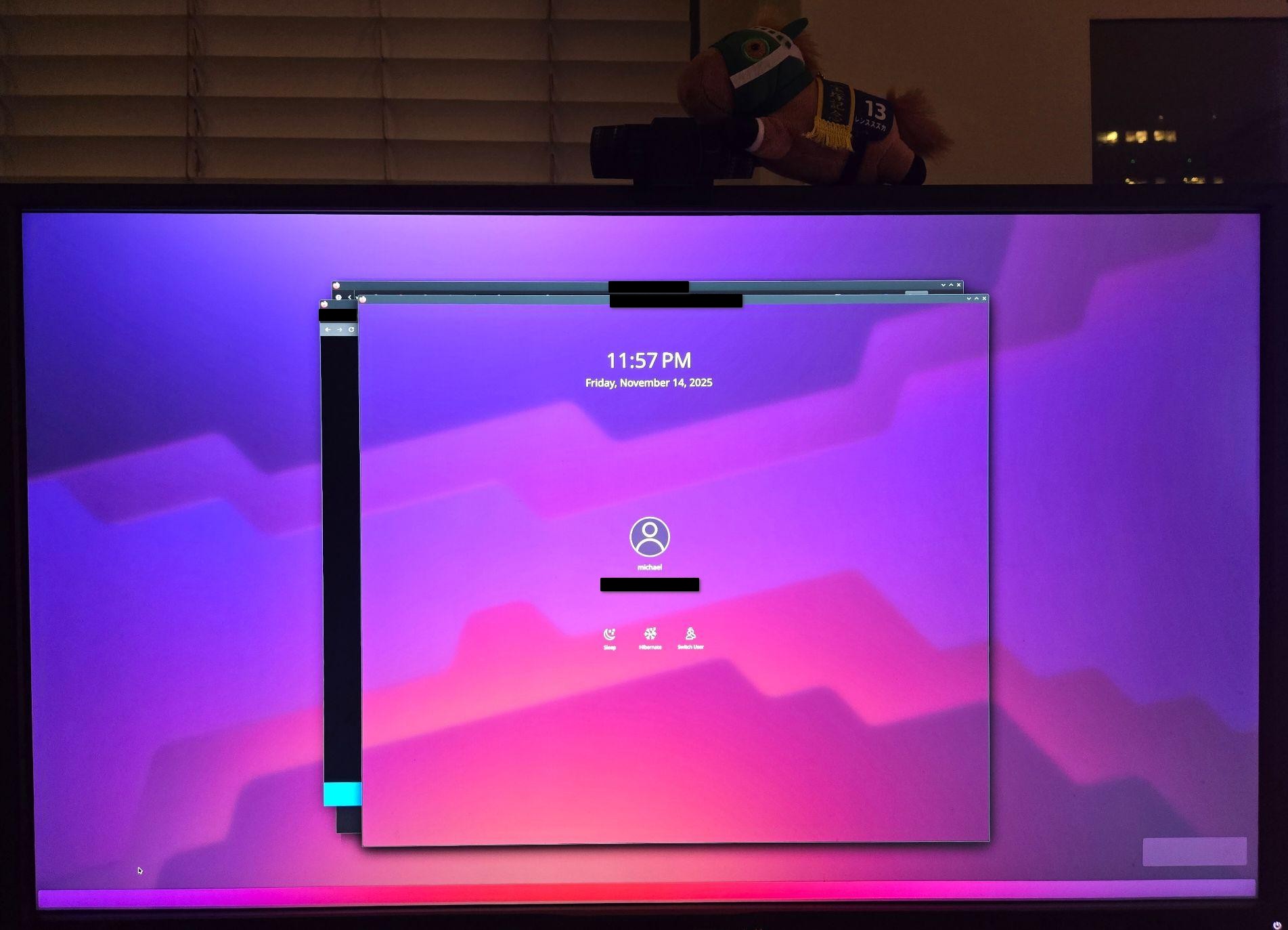 Screen corruption after resuming from suspend